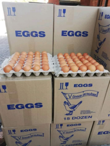 15 Dozen Large Eggs for Sale