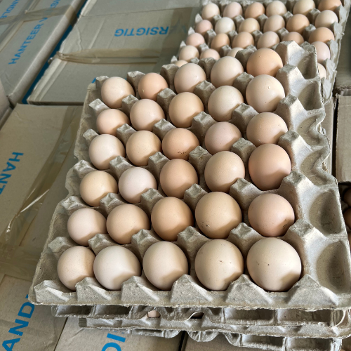 Chicken Eggs For Sale