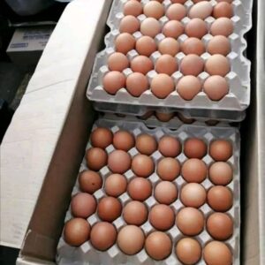 small eggs for sale