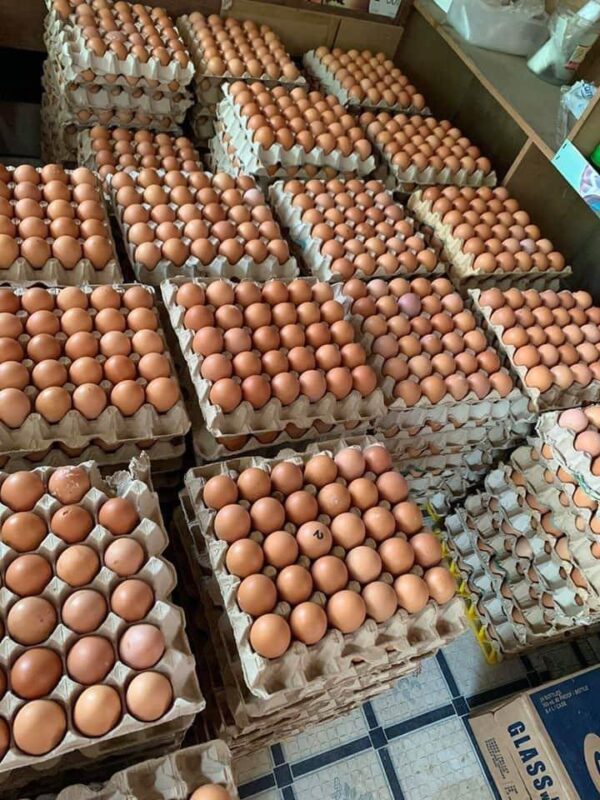 X-large (65g) – 360 eggs a carton - Image 3