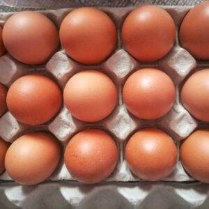 Jumbo Eggs for Sale