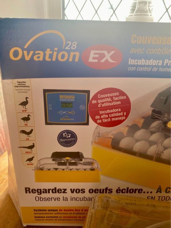 egg incubators for sale