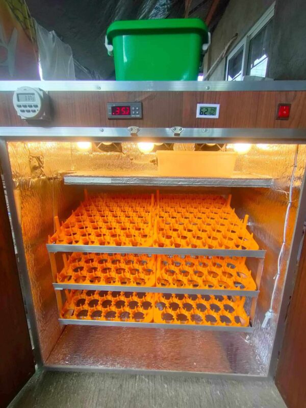 egg incubators for sale